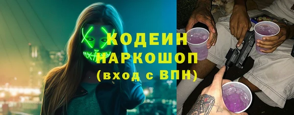 сатива Арсеньев