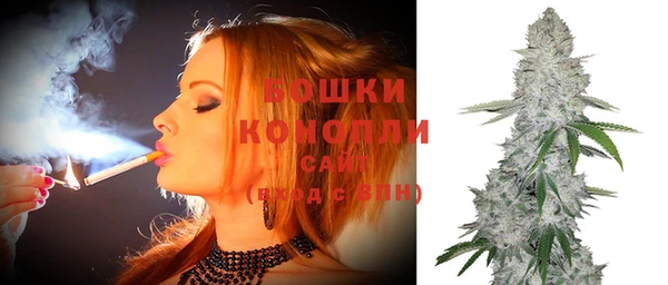 сатива Арсеньев