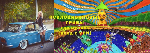 сатива Арсеньев