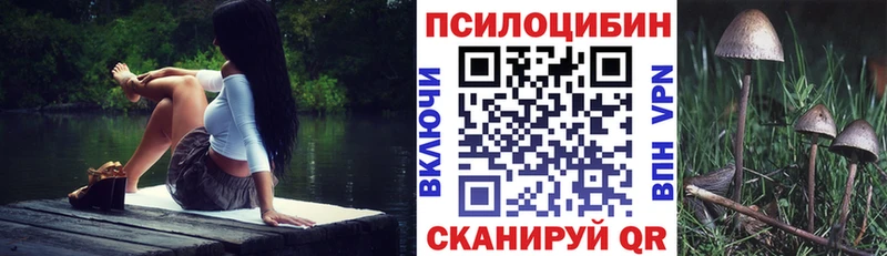Псилоцибиновые грибы мицелий  блэк спрут зеркало  Кирово-Чепецк 