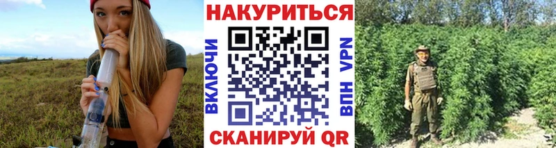 где купить наркоту  Кирово-Чепецк  Шишки марихуана семена 